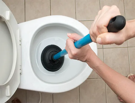 Como Desentupir Vaso Sanitário em Indaiatuba