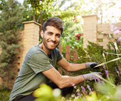 Jardins Personalizados em Cotia