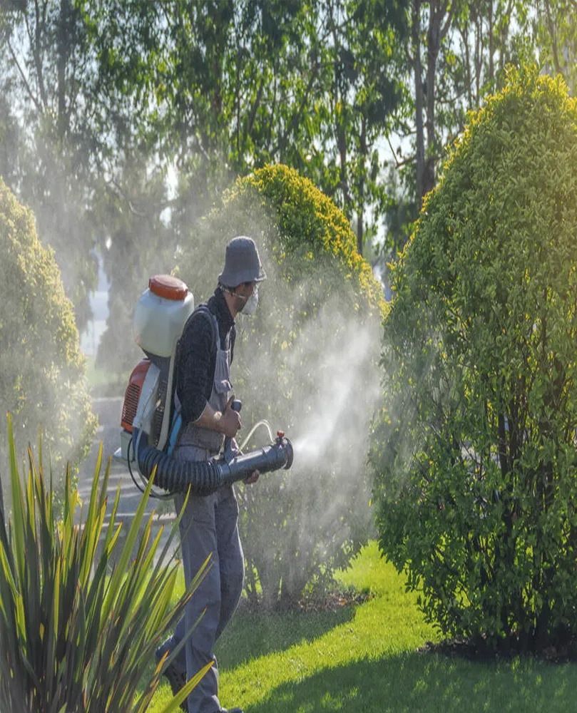 Manutenção de Jardins em São Paulo